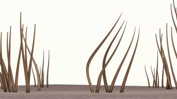 Ohne SensiHair Streuhaar